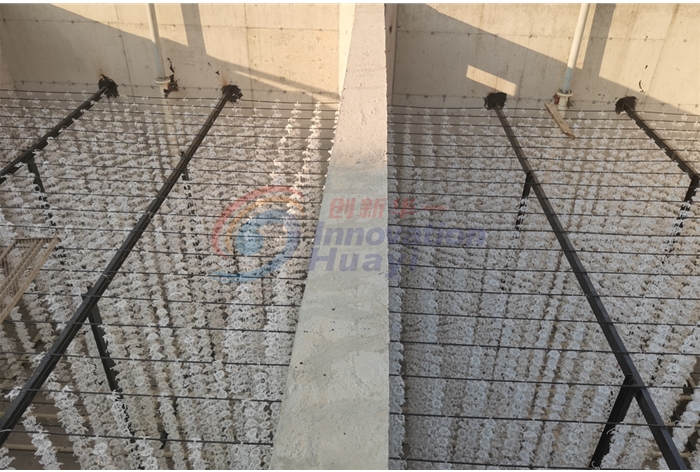 湖南日處理1000方屠宰廢水處理項(xiàng)目施工現(xiàn)場